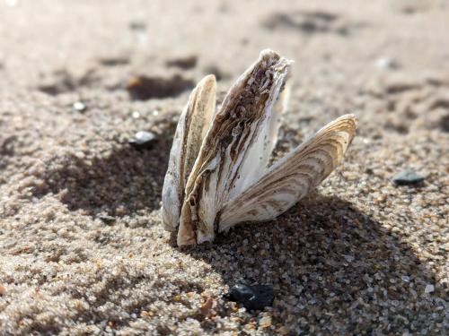 Fotografie z fotogalerie ubytování 5 person holiday home in Vinderup-By Traum v destinaci Vinderup