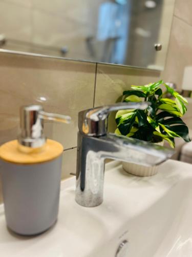 a bathroom sink with a faucet and a plant at The look in Dehiwala