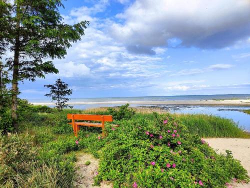 un banc orange assis au bord d'une plage dans l'établissement 6 person holiday home in Bjert-By Traum, à Binderup Strand