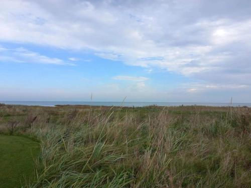 un champ d'herbes hautes avec l'océan en arrière-plan dans l'établissement 8 person holiday home in Ørsted-By Traum, à Kare