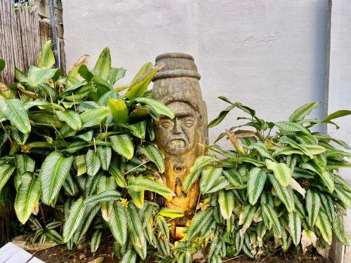 Una estatua de una cabeza en algunas plantas. en Casa Kai, en Palomino