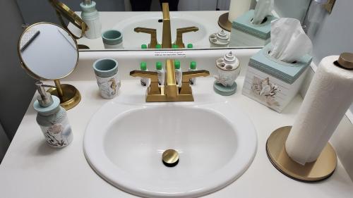 Un mostrador de baño con un lavabo y un espejo. en Jenkins Cove Getaway, en Tybee Island