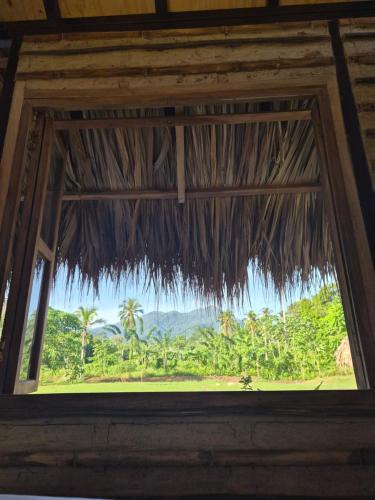 Gallery image of Dos Peladas Hostal in Santa Marta