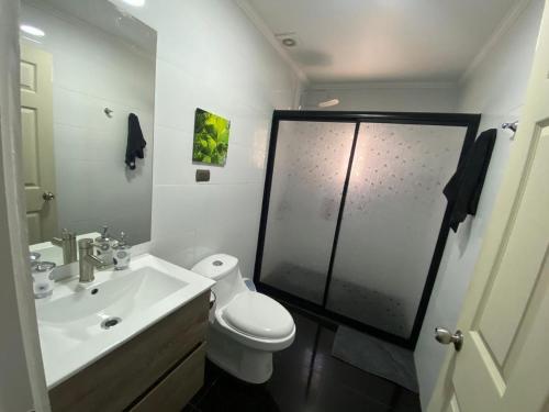 a bathroom with a toilet and a sink and a shower at Casa Pichilemu in Pichilemu