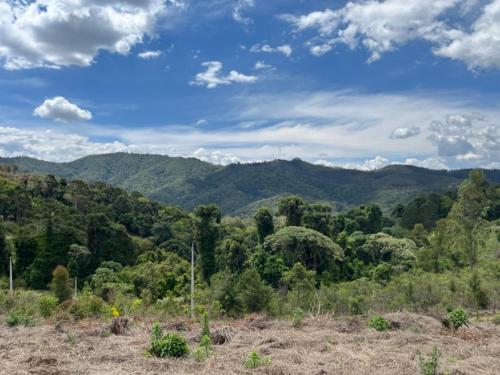 Φυσικό τοπίο κοντά σε αυτό το σαλέ