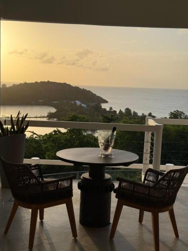 Pelican at Galley Bay View