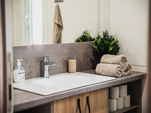 un comptoir de salle de bain avec un lavabo et un miroir dans l'établissement Lake Serenity Premium Mobile Homes-3 Bedroom, à Mostec