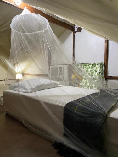 a bedroom with a bed with a net on it at Big Fun Beach House in Bacong