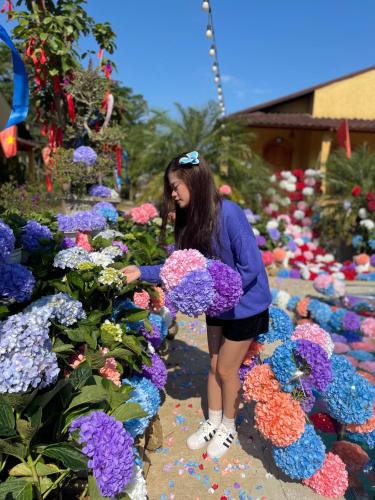 a woman is looking at flowers in a garden at Sky Bay Lodge in Ha Giang