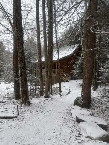 Waterfront Secluded Log Cabin v zimě