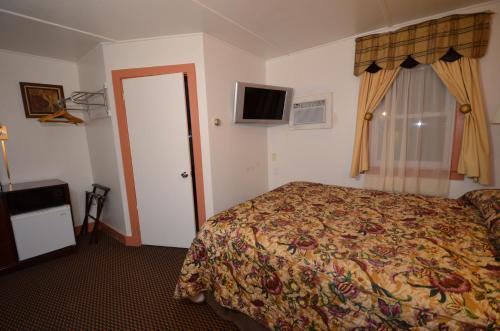 a hotel room with a bed and a television at Williamstown Motel in Williamstown