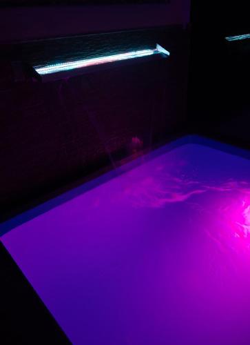 Swimmingpoolen hos eller tæt på Top-Level Pool