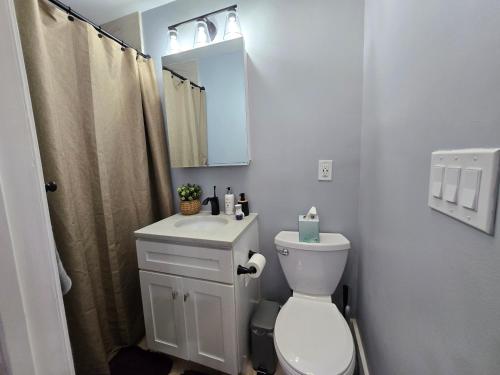 a bathroom with a toilet and a sink and a mirror at Brand New 2BR House 20Min Downtown Boston in Boston