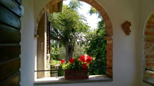 a window with a pot of flowers on a balcony at Agriturismo Podere Caggiolo - Swimming Pool & Air Conditioning in Marciano