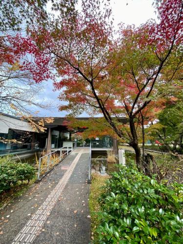 a walkway in front of a building with a tree at Ichiban an in Uji