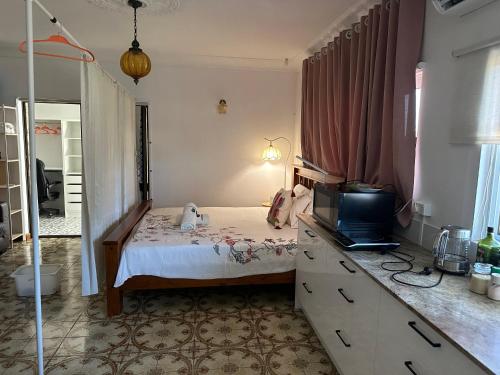 1 dormitorio con 1 cama, TV y espejo en Mains Rd 超大4人带厨房卫浴办公 M1, en Brisbane