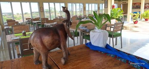 Zvířata v luxury tent nebo okolí