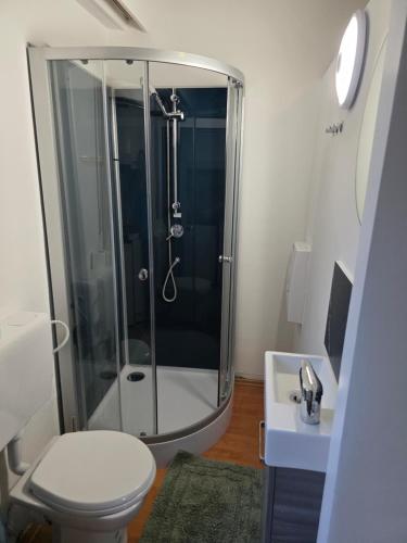 ein Badezimmer mit Dusche, Toilette und Waschbecken in der Unterkunft Studio 3 in Luxemburg (Stadt)