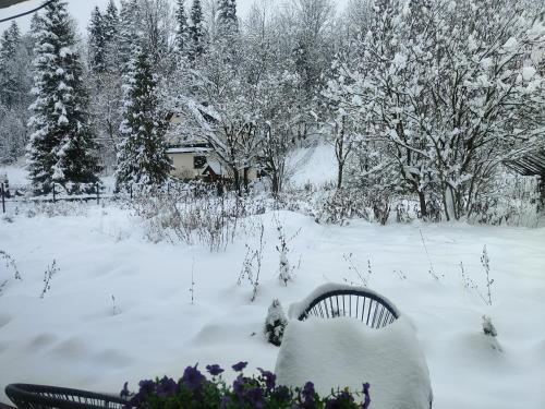 冬天的Studio Góralskie Klimaty Widok na Góry