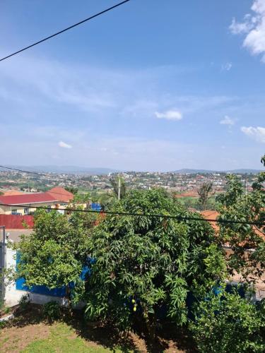 een groep bomen bovenop een heuvel bij Kigali Beauty Homes in Kigali