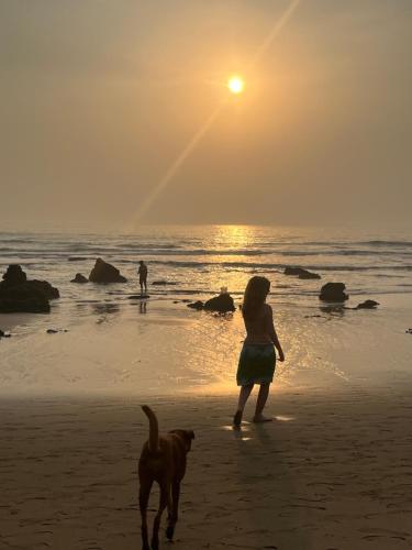 旅馆周边自然景观