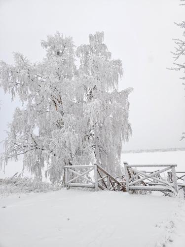Fotografie z fotogalerie ubytování Kylpylähotelli Pohjanranta v destinaci Keminmaa