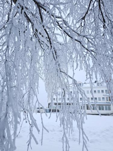 Fotografie z fotogalerie ubytování Kylpylähotelli Pohjanranta v destinaci Keminmaa