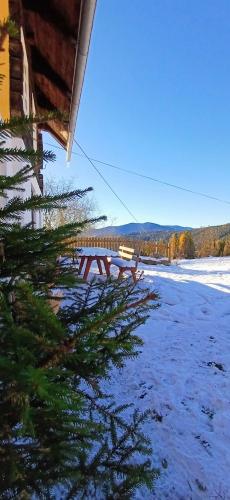 Ferienhaus Almhorizont beim Oberen Kreuzer