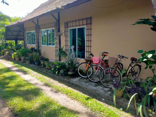 Rattasõit majutusasutuse Khoom Kam Kaew aladel või selle läheduses