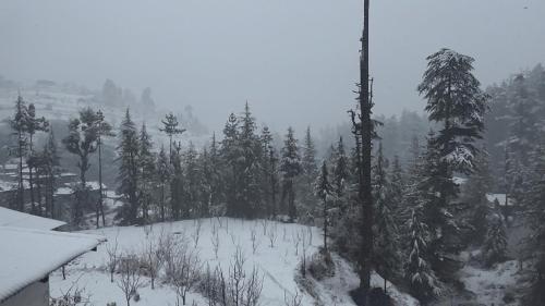 Imagen de la galería de Oreos cafe and stay shangarh, en Shangarh