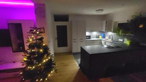 Gallery image of Ferienhaus Kesper in Schottwien