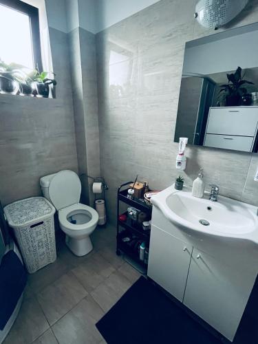 Craiova International AirportMagnolia apartament K&A的带白色水槽和马桶的浴室