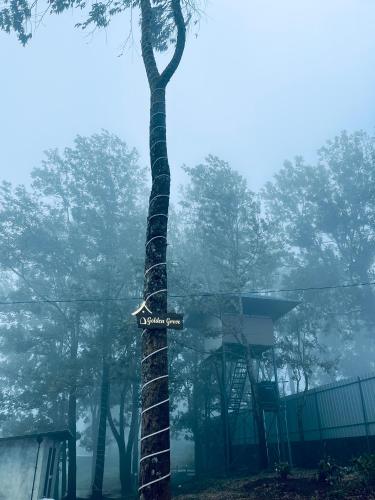 Φωτογραφία από το άλμπουμ του Golden Grove Treetops σε Pooppara