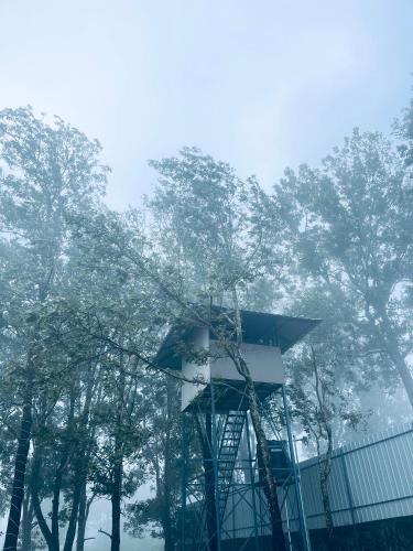 Φωτογραφία από το άλμπουμ του Golden Grove Treetops σε Pooppara