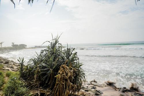 Paisaje cerca de este albergue