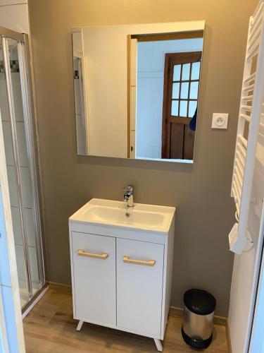 a bathroom with a white sink and a mirror at Villa Millepertuis Bagnoles de l'Orne in Bagnoles de l'Orne