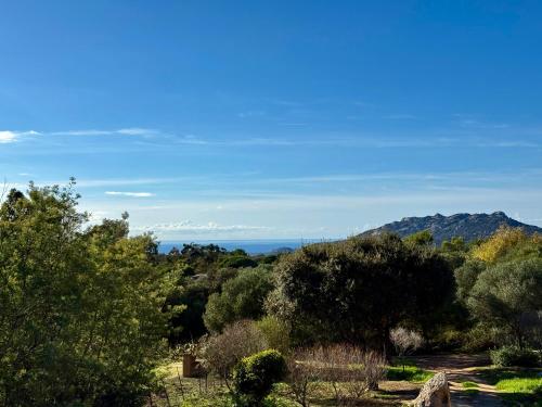 Příroda nedaleko vily