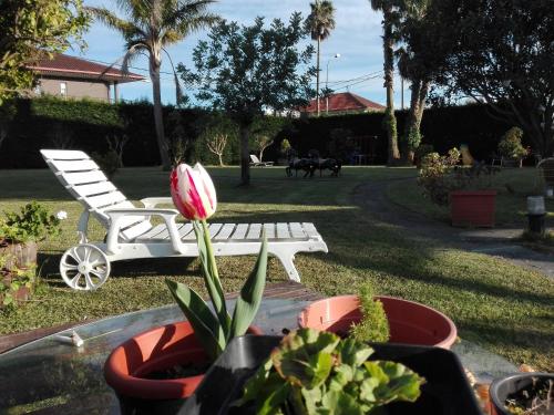 Billede fra billedgalleriet på Casa De Grande i Cambados