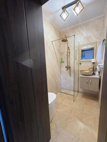a bathroom with a shower and a toilet and a sink at Râului 43 in Ocna-Mureşului