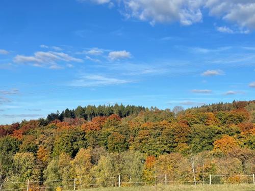 a forest of colorful trees on a hill at Chalet am Biggesee in Olpe