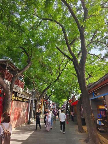 a group of people walking down a street with trees at Nostalgia Hotel Beijing Yonghe Lama Temple in Beijing