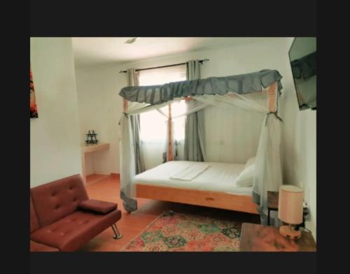 Ένα ή περισσότερα κρεβάτια σε δωμάτιο στο Seacrest Apartments