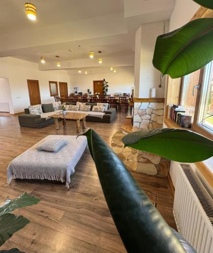 a living room with a couch and a table at Pensiunea Roua Brazilor Mărișel in Mărişel