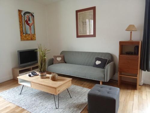 TV a/nebo společenská místnost v ubytování Gîte du Palais