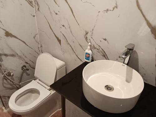 Un baño con lavabo blanco y inodoro. en TTN - The Trekker's Nest, en Jyotirmath