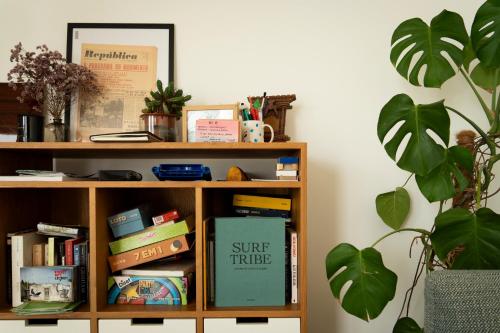 a book shelf filled with books and a plant at B&B Casa Areia in Colares