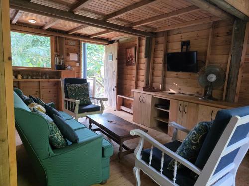 a living room with a couch and a tv at La Petite Ferme, Le Chalet in Vieux Grand Port