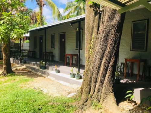 une maison avec un arbre devant dans l'établissement Bai Quaba, à El Nido