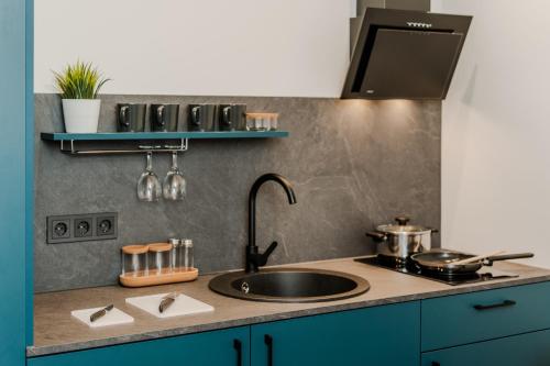 una cucina con un lavello e un piano di lavoro di Chamber House a Kaunas