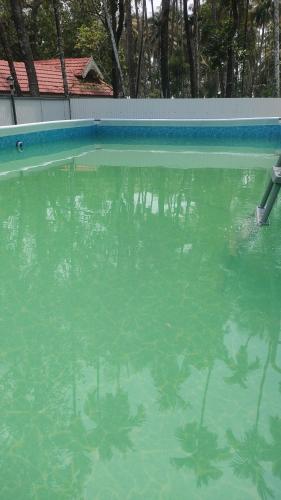 a pool of green water with trees in it at Katadi beach coral cottage in Thanniyam